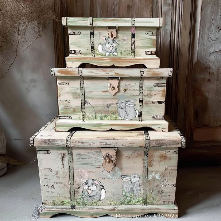 Hokus Pokus Transfer - Mes Lapines