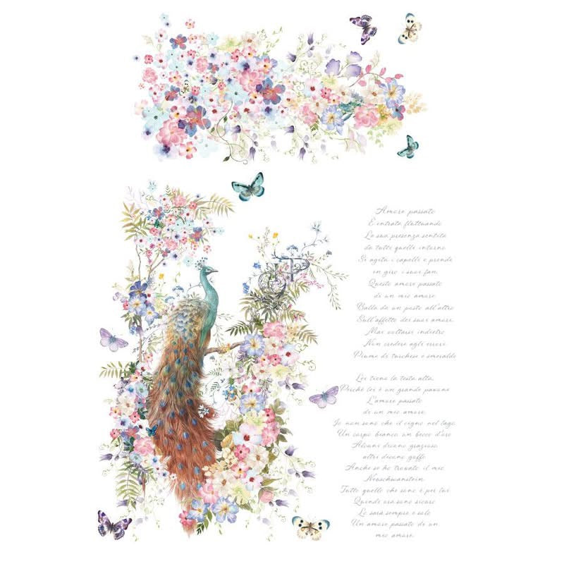 Hokus Pokus; Bellissimo – Large Transfer – 6 Sheets