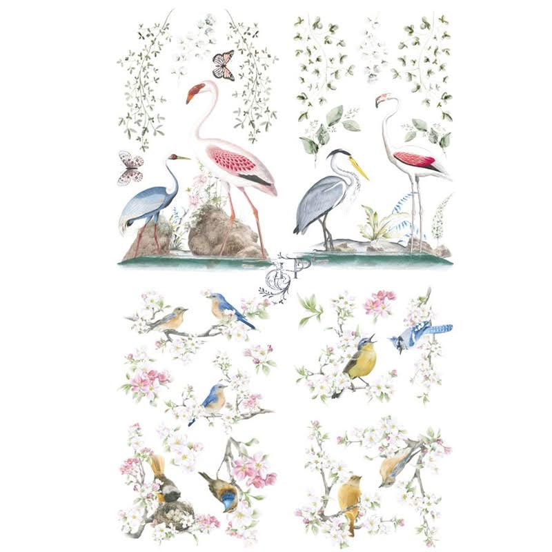 Hokus Pokus Transfer- Birds Of Paradise