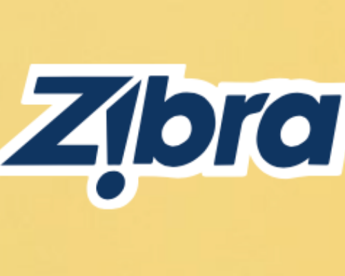Zibra Painting Brushes