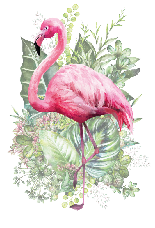 Hokus Pokus Transfer - Flamant Rose Furniture Transfer