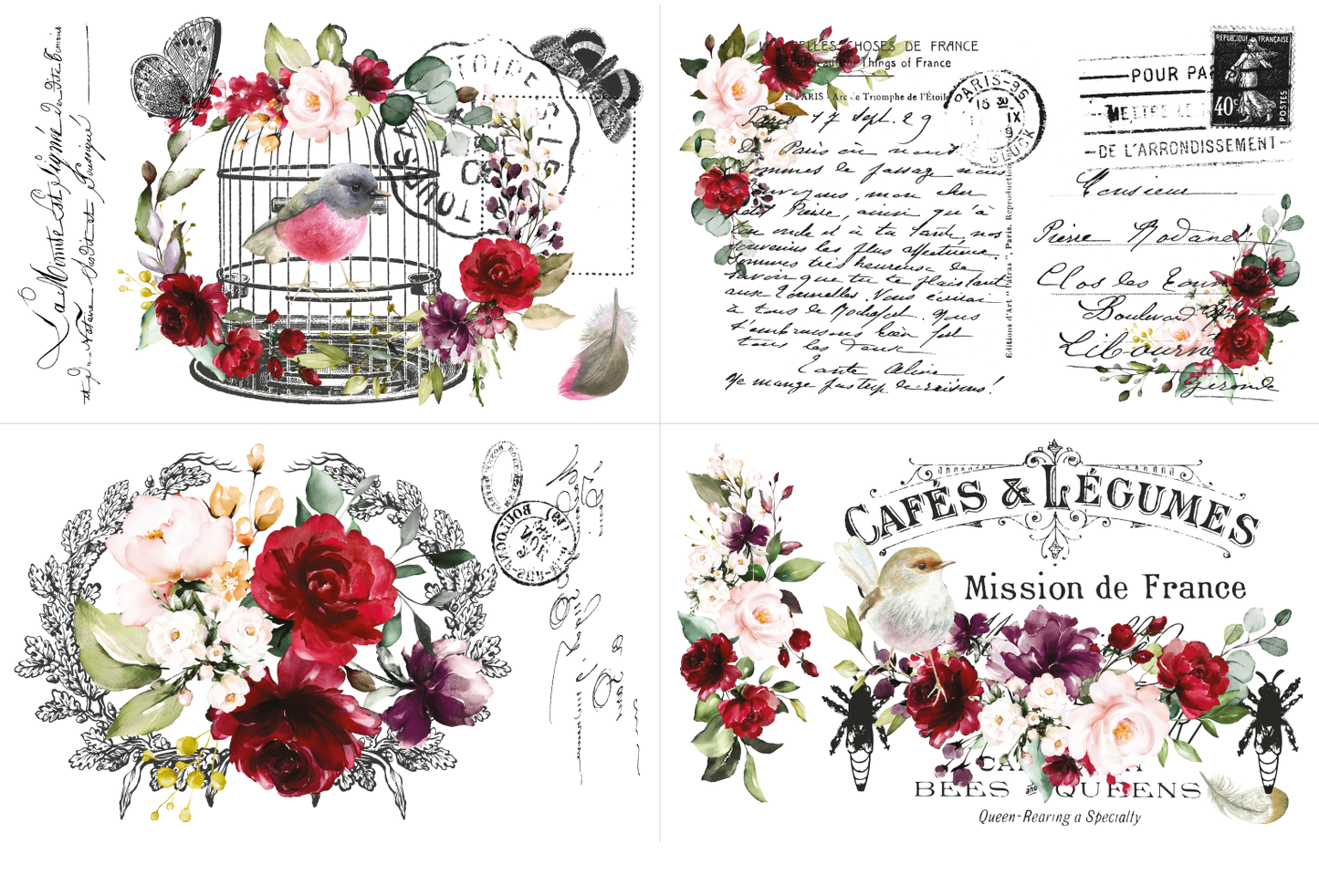Hokus Pokus Transfer - Cage a’Oiseaux Furniture Transfer; Large Cut into 4 Pieces Rub on Transfer