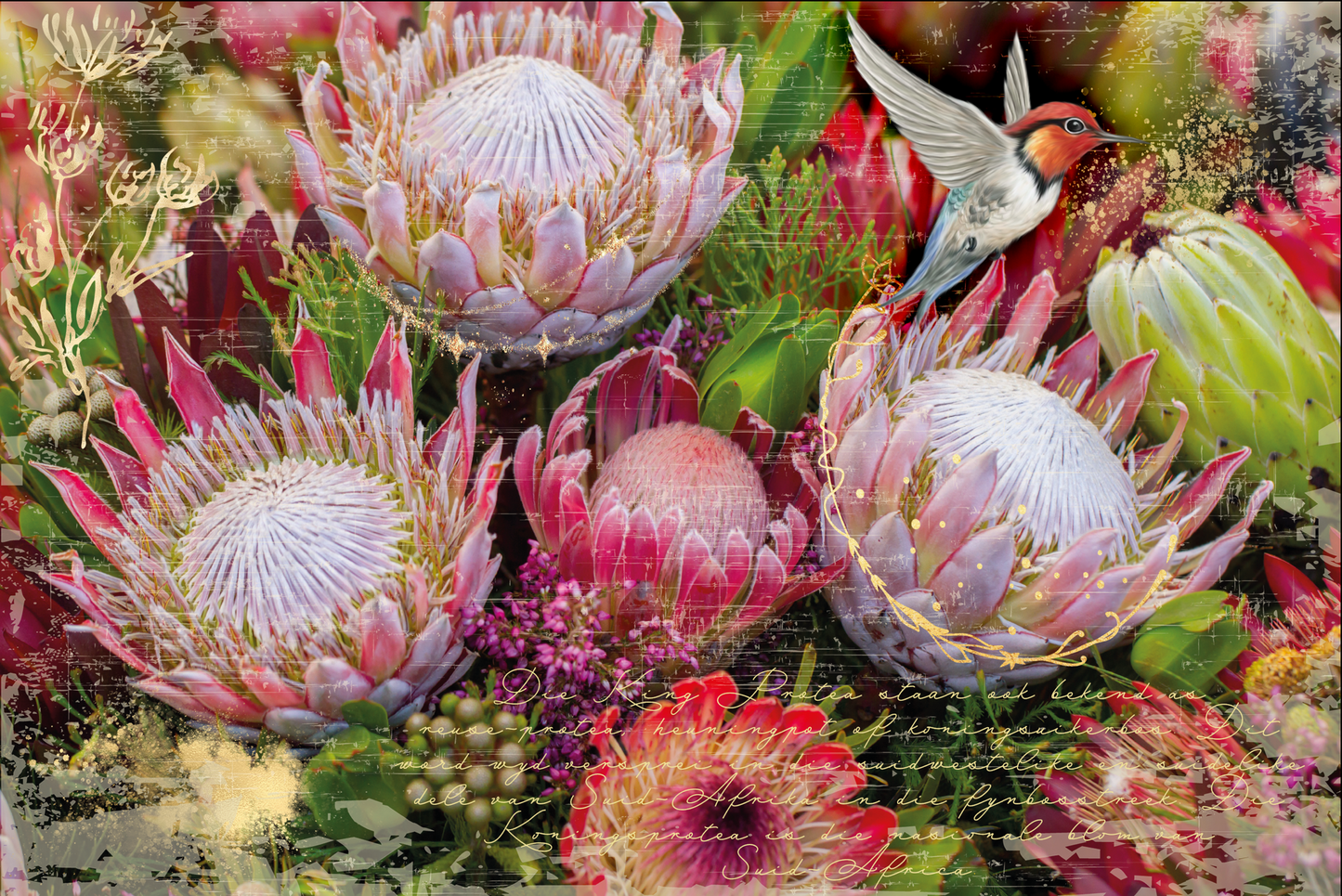 Hokus Pokus Decor Weave - Fynbos Decor - Weave