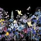 Blue & Purple Wildflower Garden image on a  black background