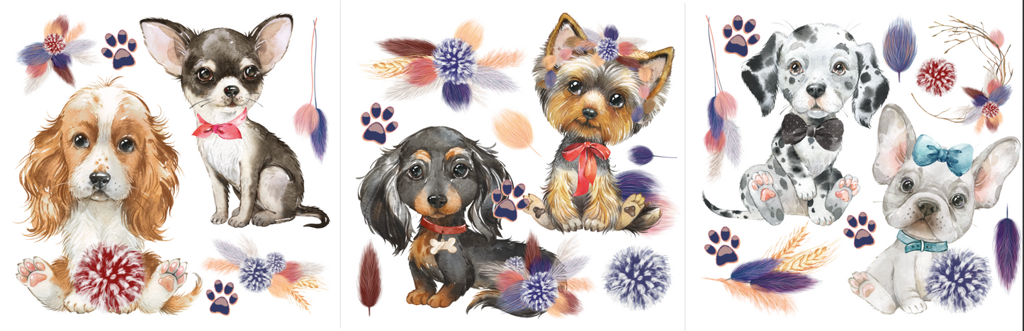 Hokus Pokus Petite Transfer - A Dogs Life
