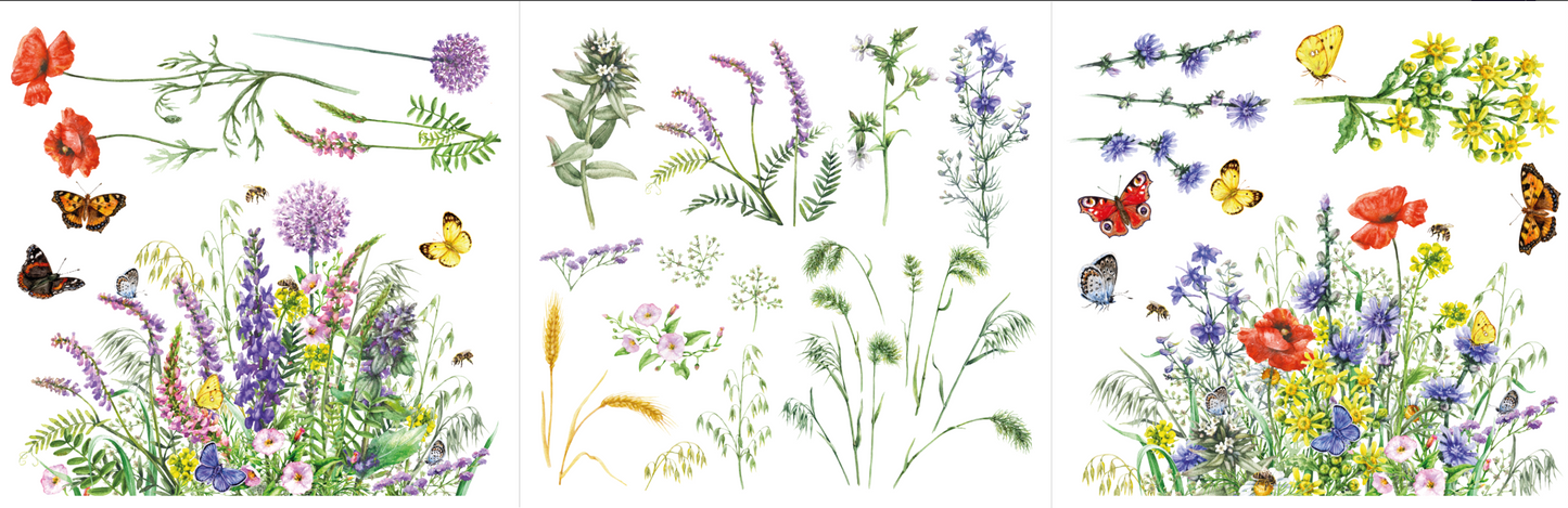 Hokus Pocus Petite Transfer - Botanical