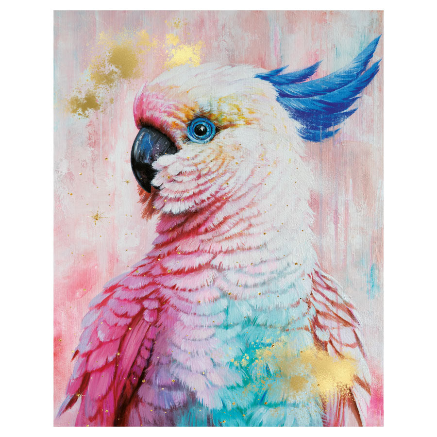 Hokus Pokus; Mr. Rio Decor-Weave