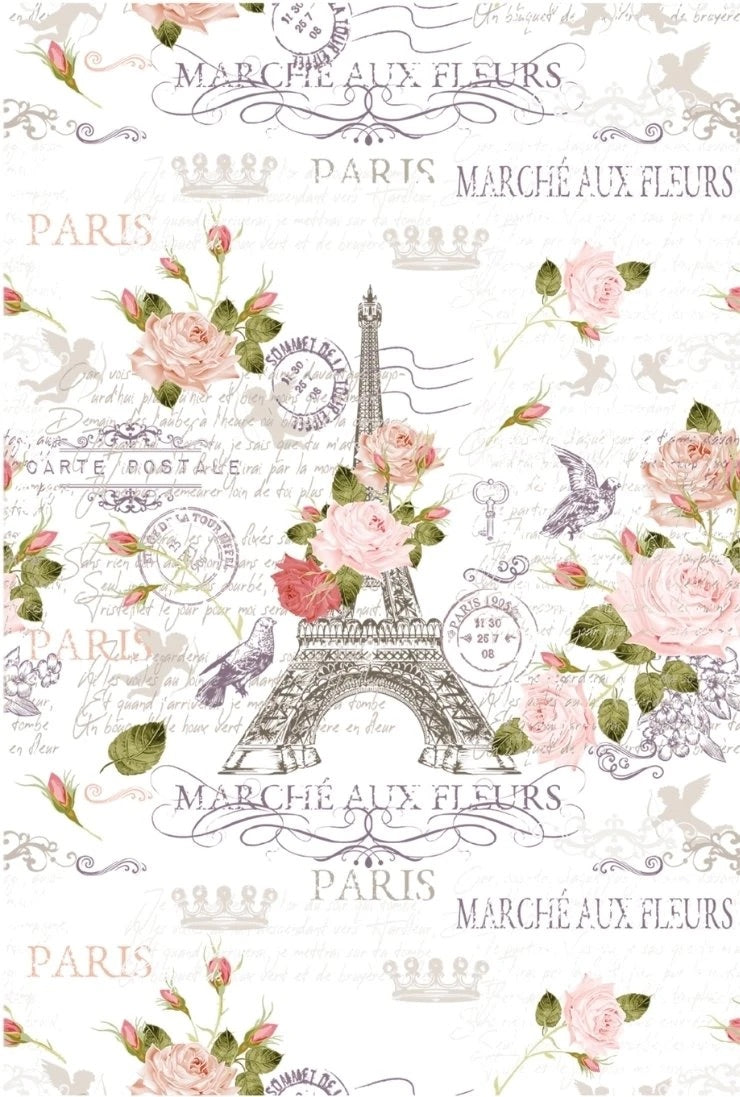 Hokus Pokus Transfer- Marche Paris Furniture Transfer - Large 1 Piece