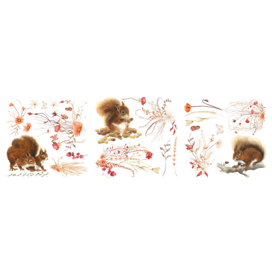 Rub on Transfer with Squirrels and Flowers; Old to New Furniture & Decor
