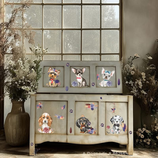 Hokus Pokus Petite Transfer - A Dogs Life