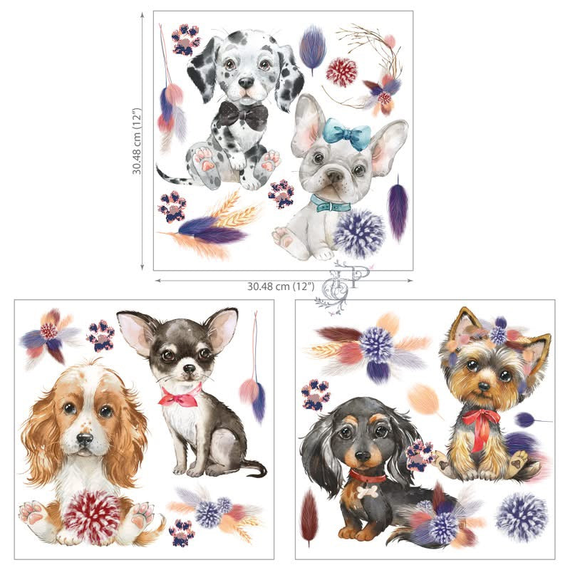 Hokus Pokus Petite Transfer - A Dogs Life