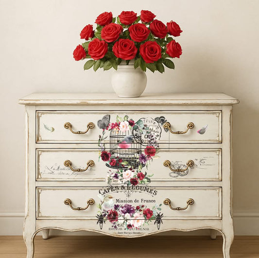 Hokus Pokus Transfer - Cage a'Oiseaux Furniture Transfer