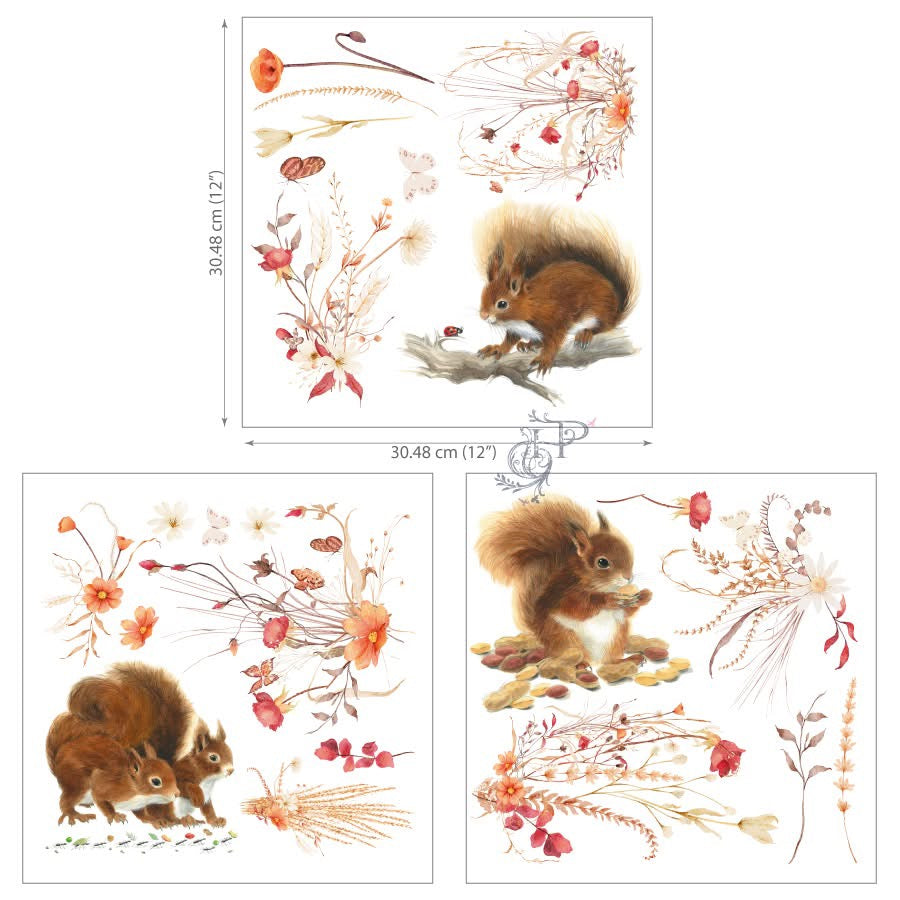 Hokus Pokus Petite Transfer - Lets go Nuts – 3 Sheets