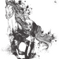Hokus Pokus Image Transfer | Majestic Horse Charcoal
