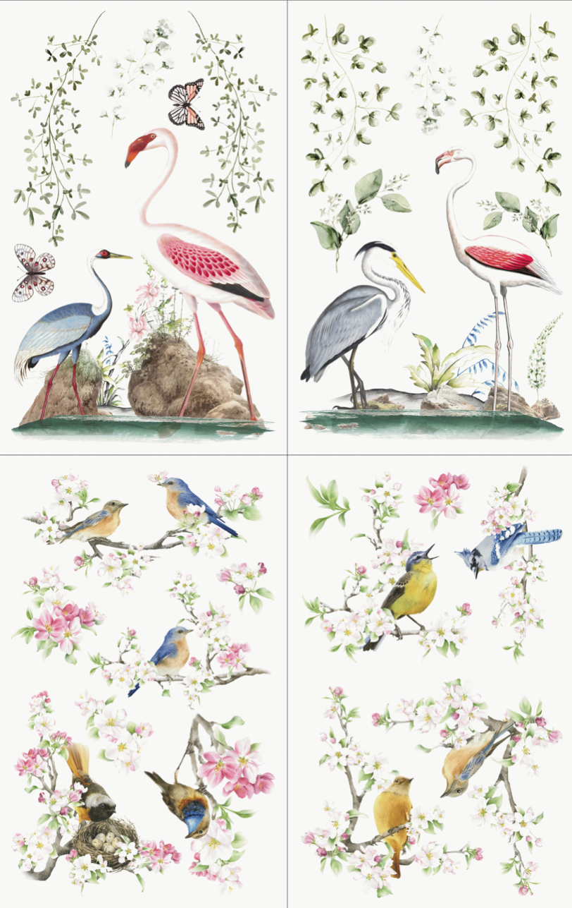 Hokus Pokus Transfer- Birds Of Paradise