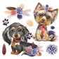 Hokus Pokus Petite Transfer - A Dogs Life