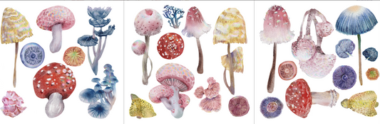 Hokus Pocus Petite Transfer - Magic Mushroom