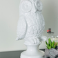 Modern Home Decor, Ceramic Owl, Old to New Furniture & Decor