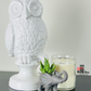 White Ceramic Owl Home Decor, Old to New Furniture & Decor